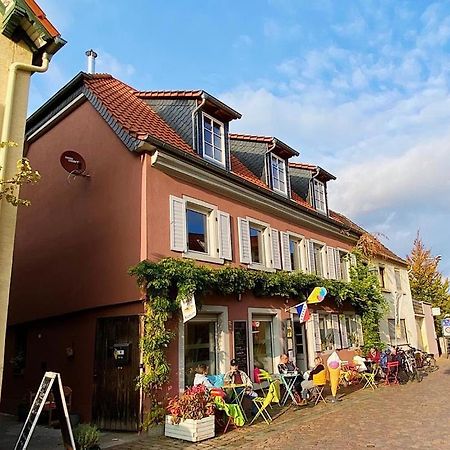 Gruene Pause Apartment Freinsheim Exterior foto