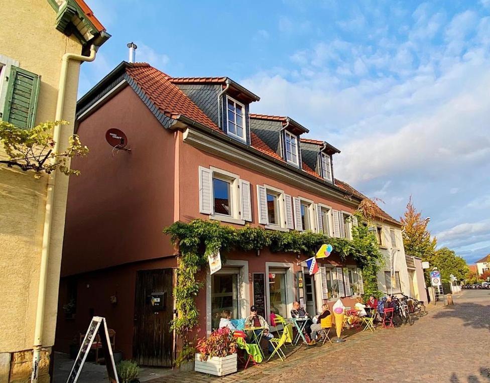 Gruene Pause Apartment Freinsheim Exterior foto